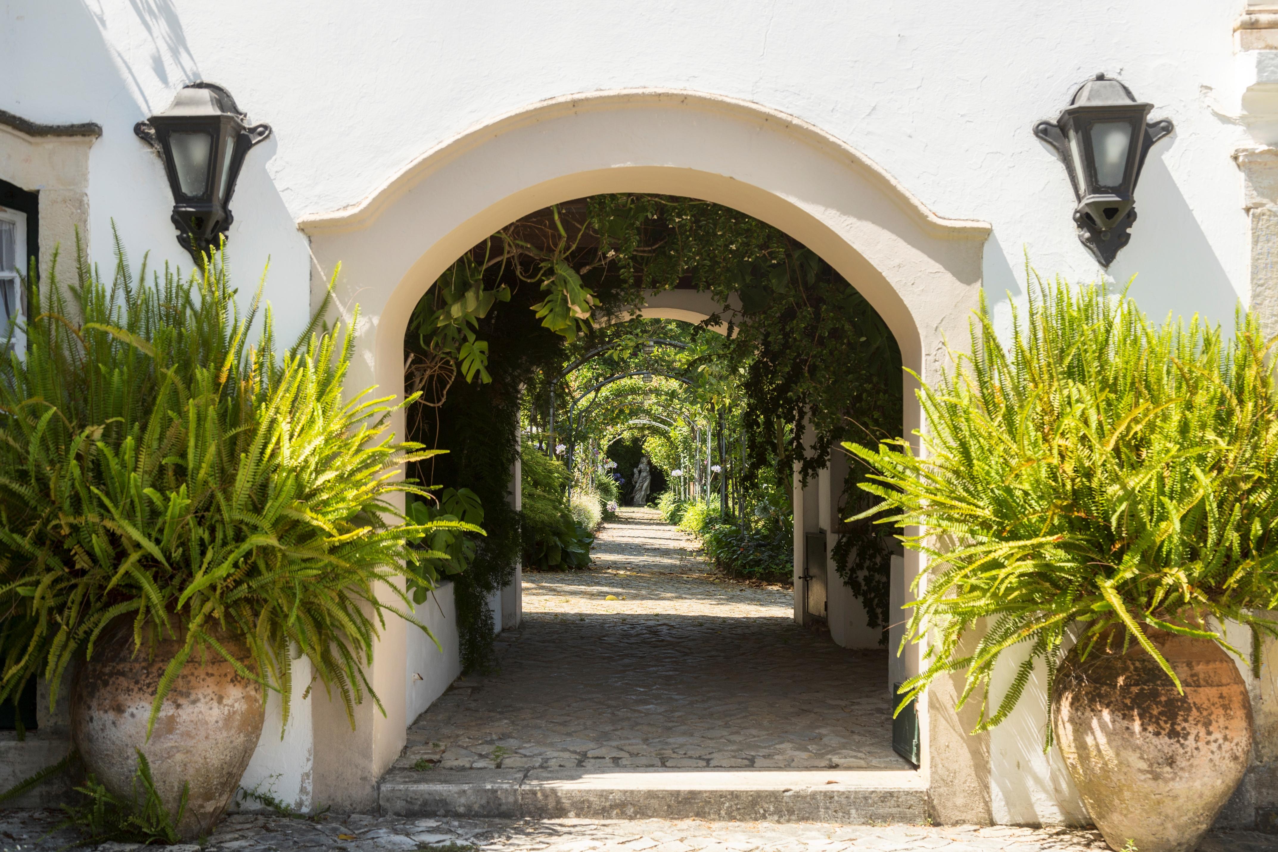 Quinta De Sao Lourenco Anadia Exterior foto