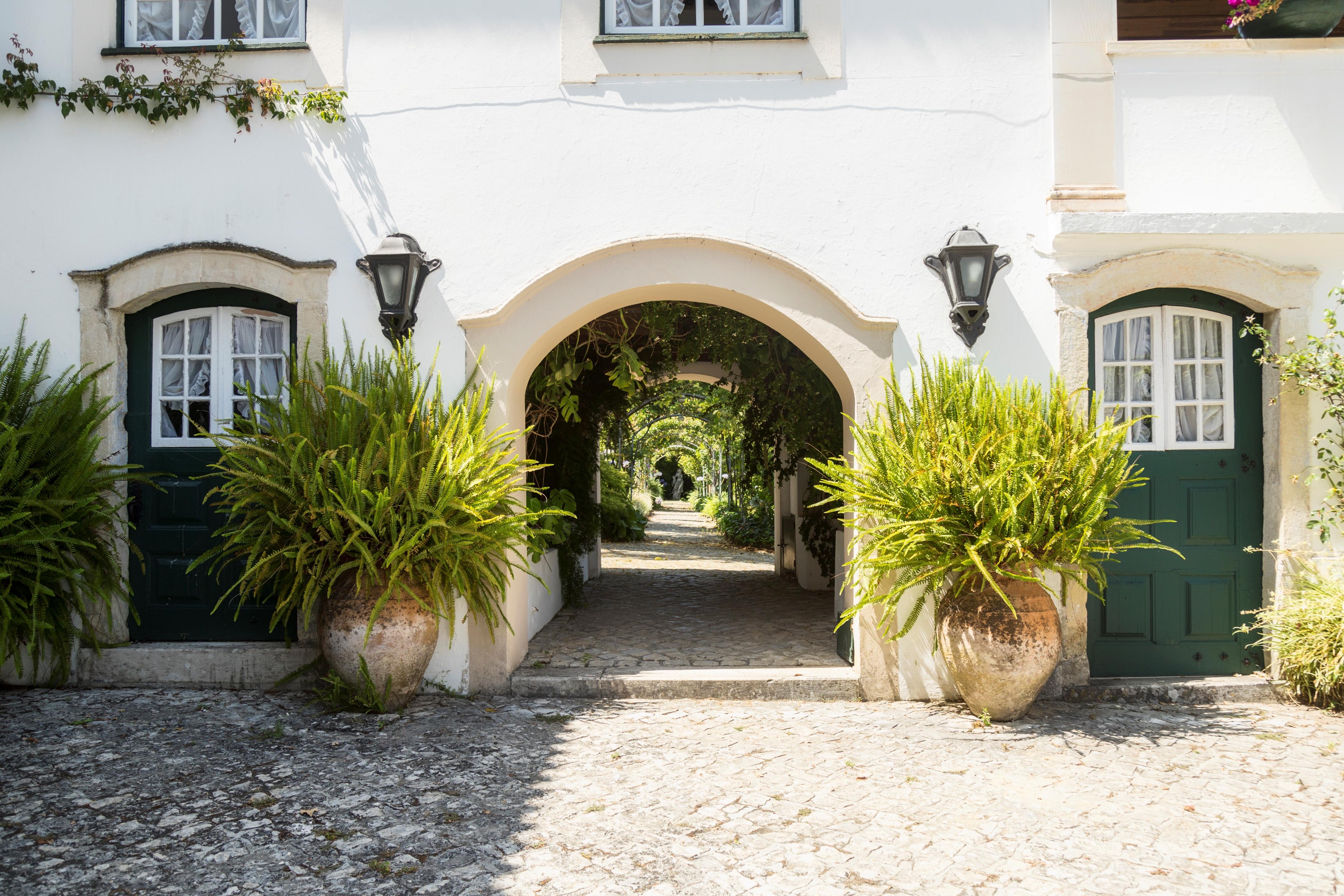 Quinta De Sao Lourenco Anadia Exterior foto